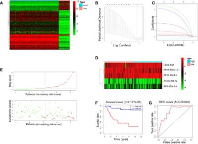 LncRNA LBX2-AS1 impacts osteosarcoma sensitivity to JQ-1 by sequestering miR-597-3p away from BRD4